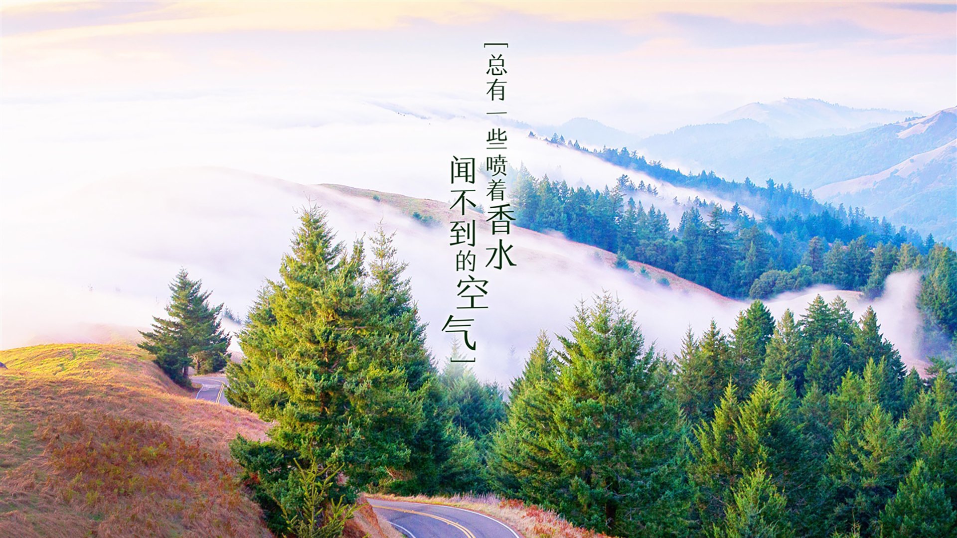 唯一的一剑,当摩洛哥的狂沙碾过高丽,托纳利在2026留下了不朽的印记