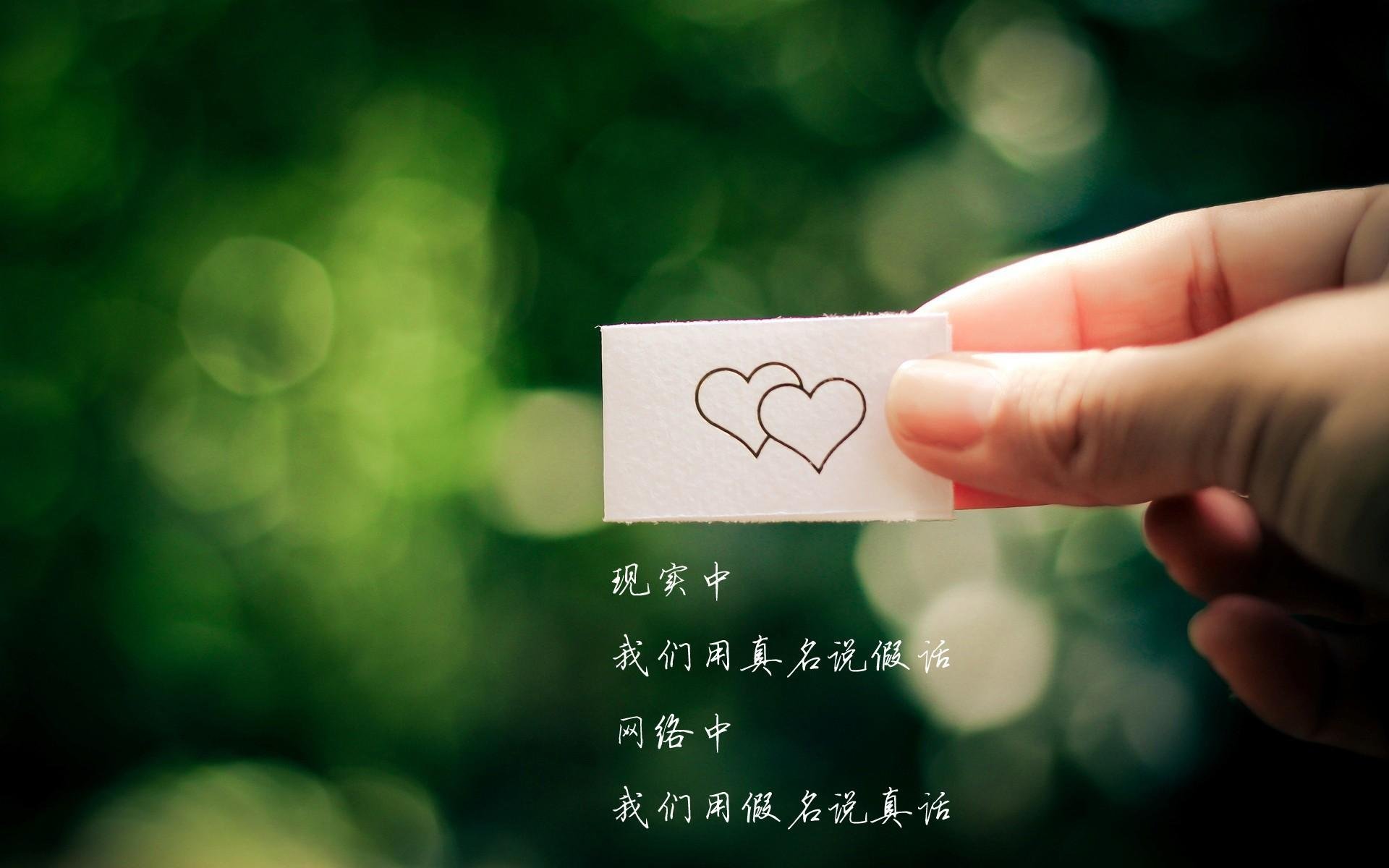 华体会登陆-橙衣军团的孤勇，2026世界杯C组关键战，荷兰以铁血之名击碎波兰防线，德布劳内用大师手笔书写唯一胜利